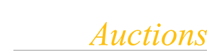 Canvas designz